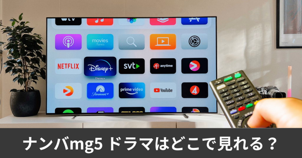 ナンバmg5 ドラマの配信はどこで見れる?