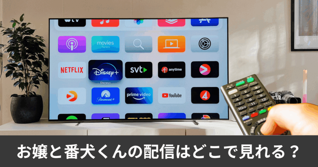 お嬢と番犬くんの配信はどこで見れる?アマプラやnetflixで見れる?サブスク徹底比較完全ガイド!