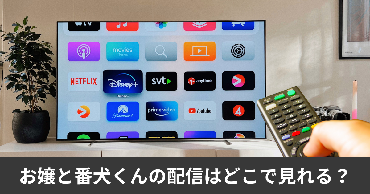 お嬢と番犬くんの配信はどこで見れる？アマプラやnetflixで見れる？サブスク徹底比較完全ガイド！