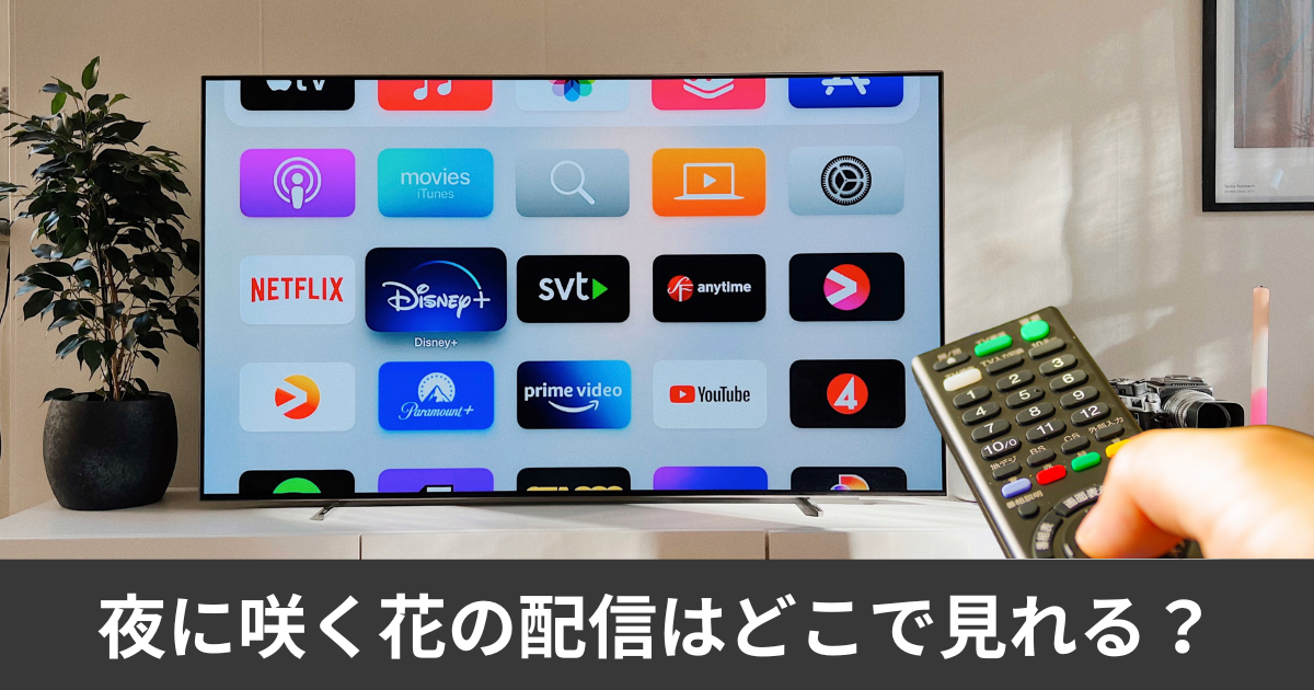 夜に咲く花の配信はどこで見れる？サブスクのアマプラやnetflixで見れる？徹底解説します！